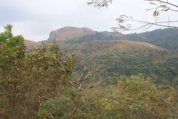 mount gemi
